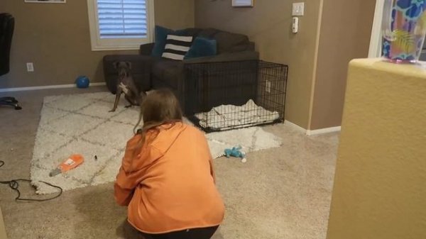 2021 EXTREME CLEAN WITH ME | TONS OF SPEED CLEANING MOTIVATION | SUPER MOTIVATING CLEAN UP WITH ME