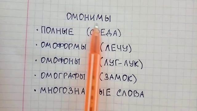 Что такое омонимы в русском языке и чем различаются полные и неполные омонимы - объяснение и пример смотреть онлайн