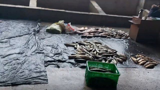 Чиназ рыбный базар. Самый большой рыбный рынок в Узбекистане. Цены 5 января 2022 года на рыбу. смотреть онлайн