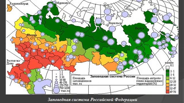Роль человека в сохранении многообразия животного мира смотреть онлайн