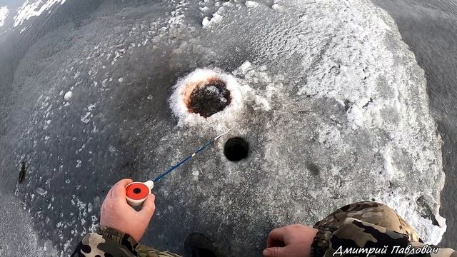 ЛЁД ТРЕЩАЛ ПОД НОГАМИ, НО Я НЕ СДАЛСЯ. Ловля РОТАНА на мясо. Рыбалка на ротана. смотреть онлайн