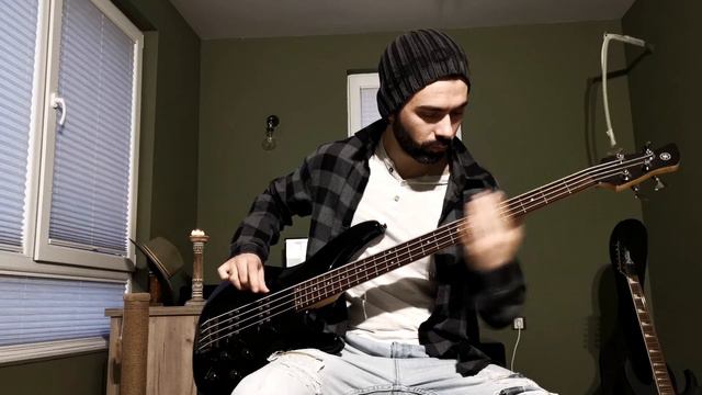 Korn - Insane Bass Guitar Cover смотреть онлайн