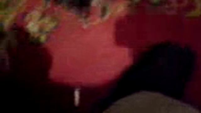 Smart Bird SINGA смотреть онлайн