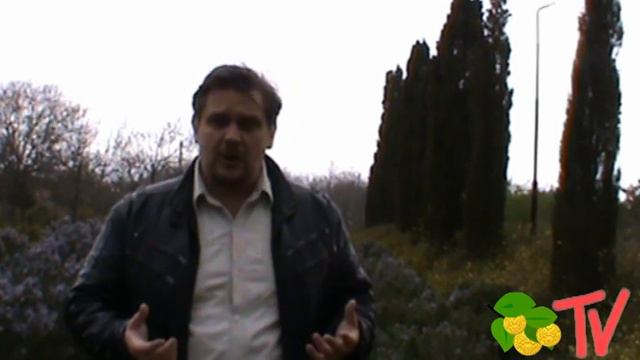 Деньги - количество в качество смотреть онлайн