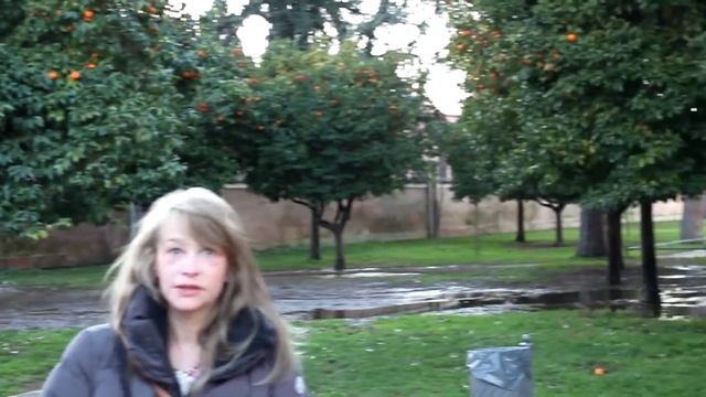 как цветет апельсин.MOV смотреть онлайн