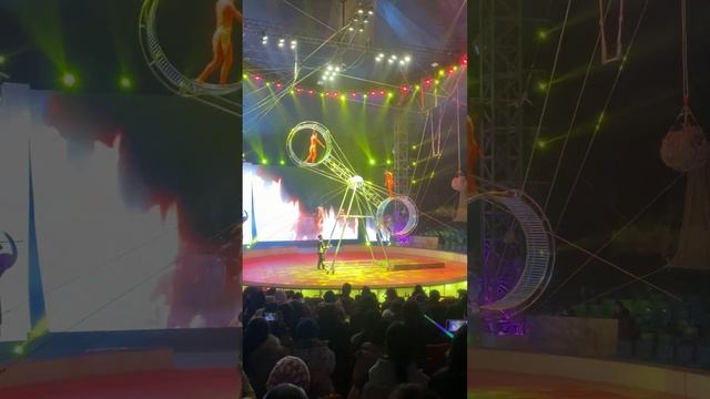 Колесо смерти #цирк смотреть онлайн