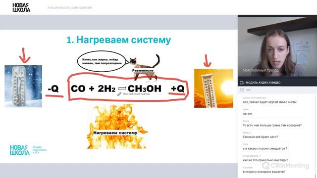 НШ | Химия. Влияние температуры на химическое равновесие смотреть онлайн
