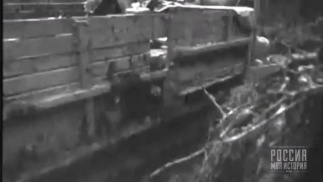 Да будет нефть! смотреть онлайн