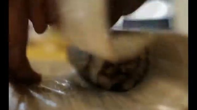 Студия суши смотреть онлайн