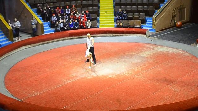 ДивоЦирк 20170421 104030 DSC2747 смотреть онлайн