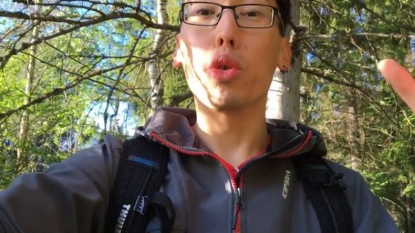 В чем отличие CPU от GPU