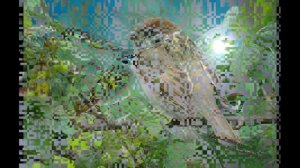 "Птичник" К. Сен-Санс. "Карнавал животных"