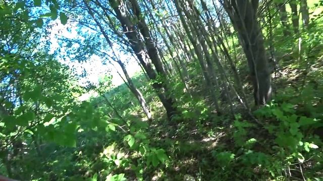 МЕТАЛЛОКОП. Сезонный заработок на железе. Санитары с лопатой и металлоискателем. Жизнь в деревне. смотреть онлайн