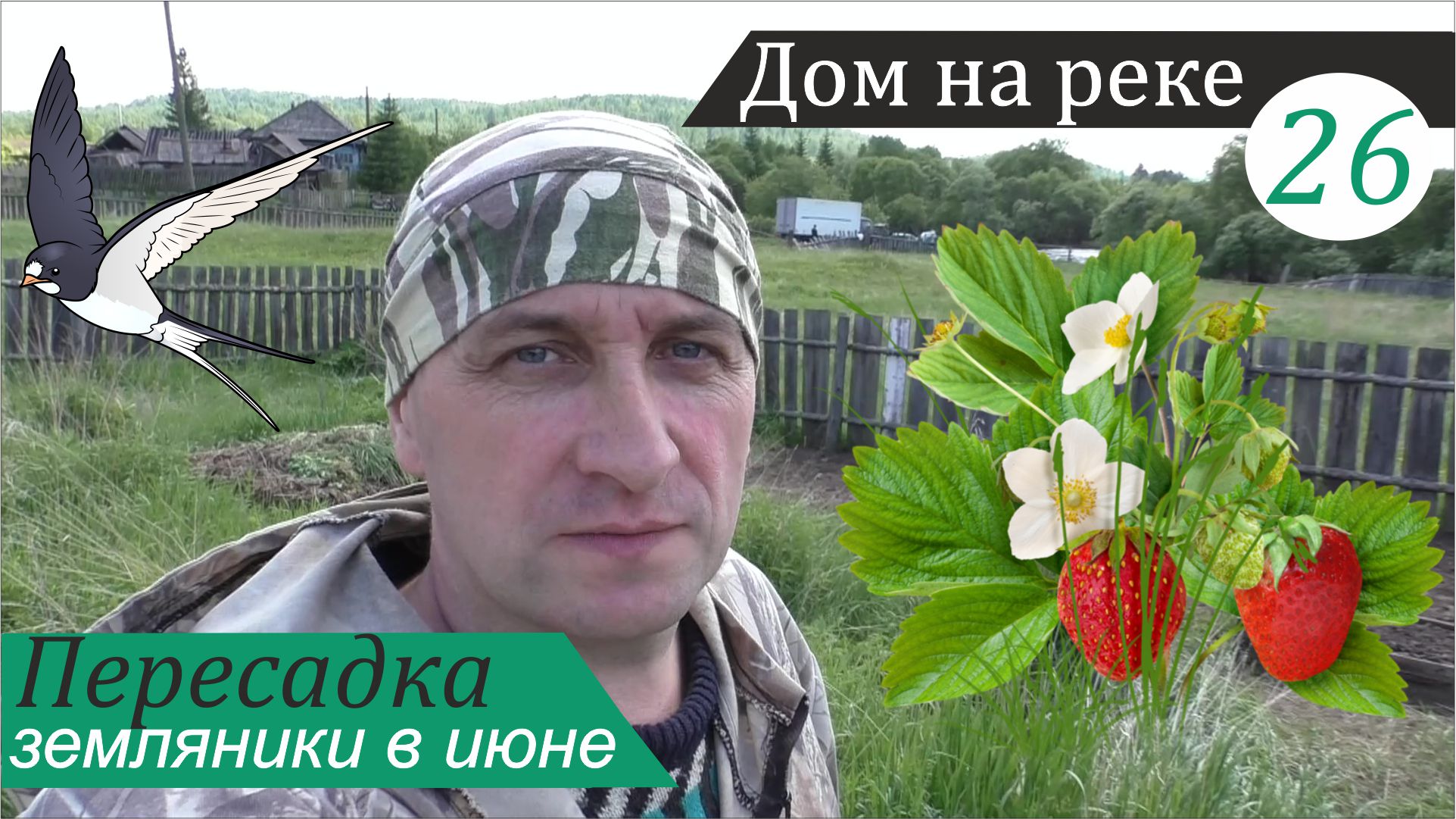 Архив наводнения и пересадка земляники. Дом на реке, часть 26 смотреть онлайн