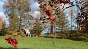 НАД РЕКОЙ КАЛИНА СПЕЛАЯ