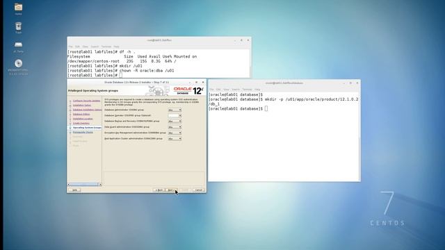 SHOW ORACLE 12c BINARIES ONLY, BASIC INSTALL смотреть онлайн