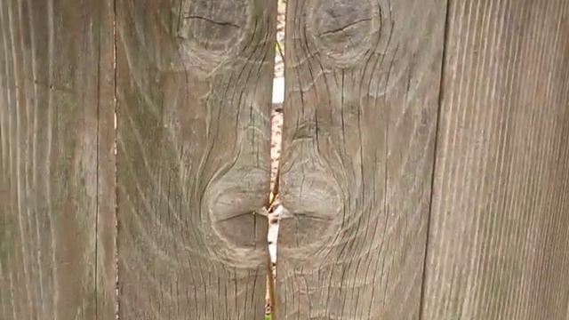 Угадайте что это? Guess What Is This 1 смотреть онлайн