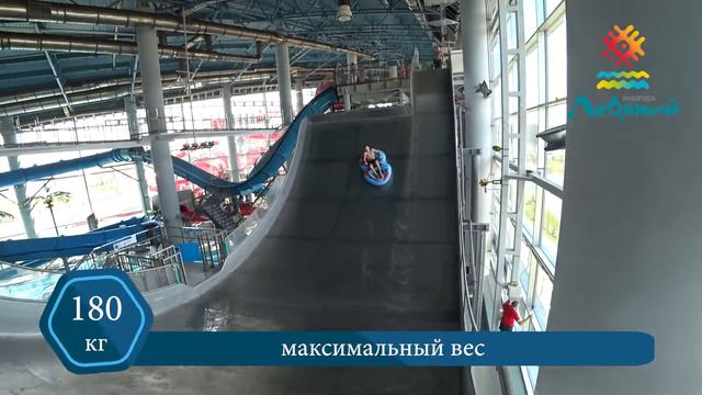 Винг смотреть онлайн