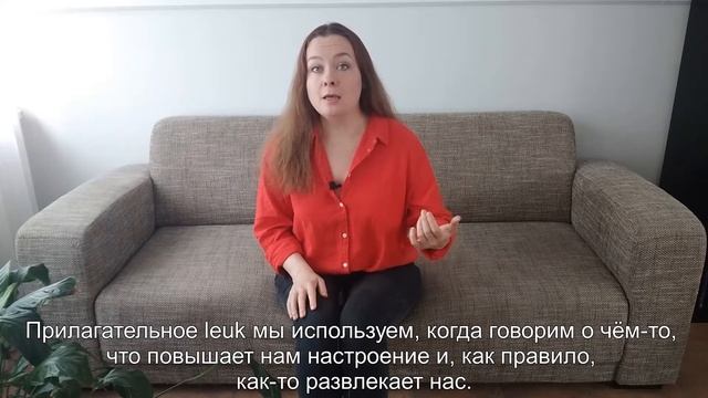 Lekker, Leuk, Gezellig! Как правильно использовать эти прилагательные.