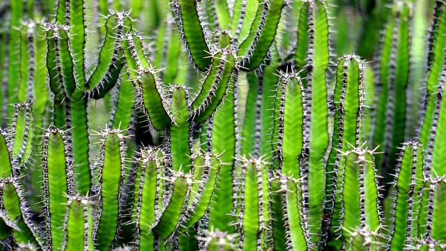 5 наших СЛАБОСТЕЙ, о которых сказано даже в Коране смотреть онлайн