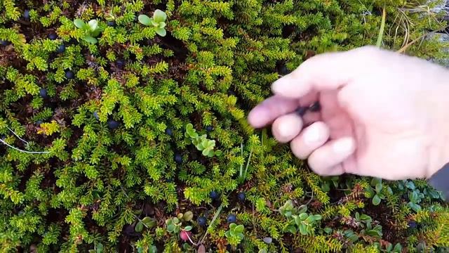 ГУХ-16 смотреть онлайн