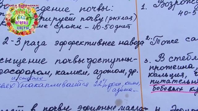 Как быстро организовать обманный севооборот для картофеля? Как снять усталость у почвы от картошки? смотреть онлайн