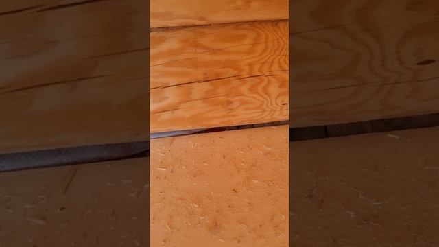 купить Деревянные дома  и бани в Сочи из оцилиндрованного бревна!