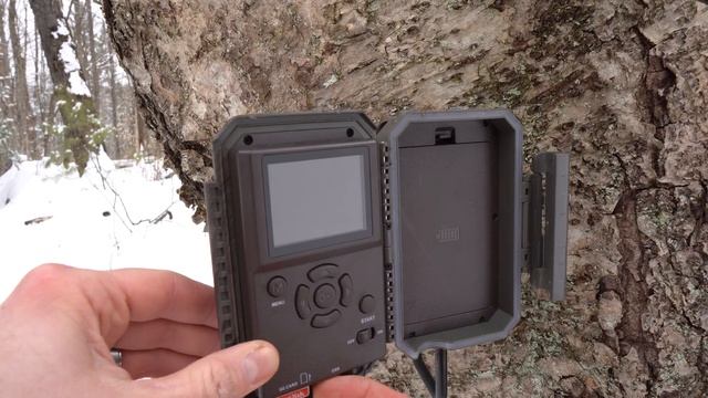 Tracking Animals at the Off-Grid Cabin, Game Camera Tips and Tricks смотреть онлайн