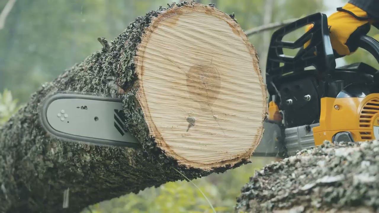 Бензопила DENZEL DGS-5218 (1605903)