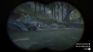 Где найти Красный кардинал, воробей, сойка, странствующий дрозд RDR 2 Red Dead Redemption 2