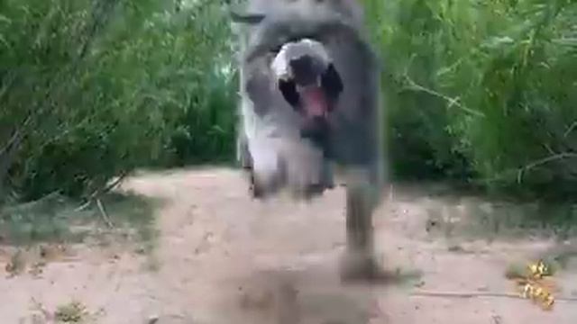 Лучший фильм название нет смотреть онлайн