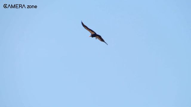 Exposure Triangle for Beginners | Exposure for Photography | Photography Exposure Guide смотреть онлайн