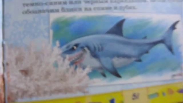 Урок рисования 1: акула. смотреть онлайн