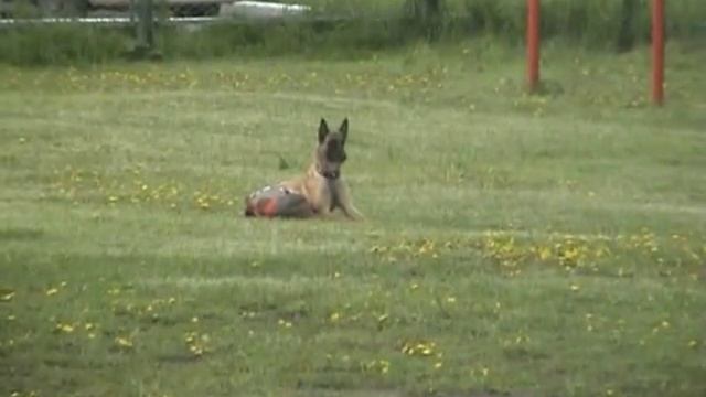 малинуа Айра  Попова М