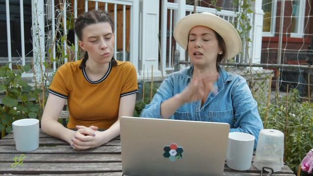 Orchid care for beginners: how to make orchids re-bloom | gardenstead смотреть онлайн