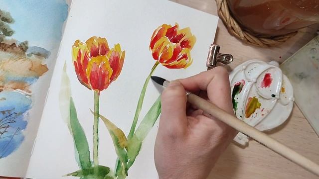 Быстрая зарисовка Тюльпанов с натуры. Акварель. смотреть онлайн