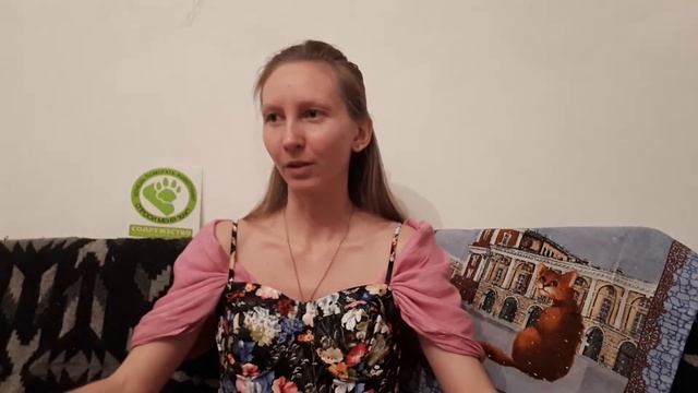 Как подружить нового кота или кошку. Опыт сдруживания животных. смотреть онлайн