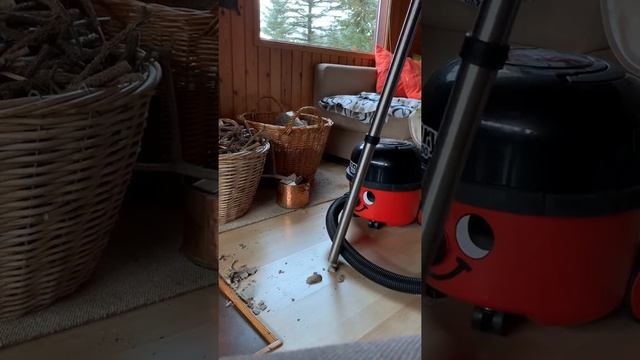 Numatic Henry Workvac And A Pile Of Dirt!
