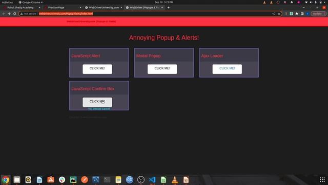 15- How to interact with ALERTS in cypress| Testing Browser Alerts, and Confirmations | @barelytec1 смотреть онлайн