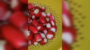 Заморозка редиса на зиму