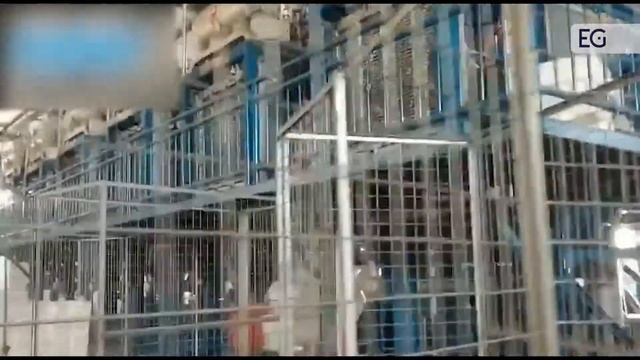 Вакуум формовочная машина упаковки из пенопласта FW-Z2019S