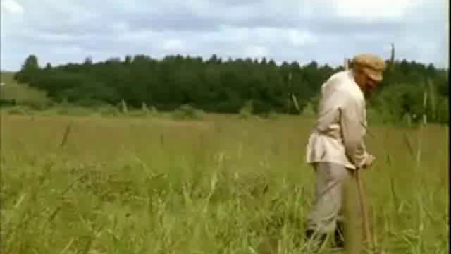 Поле смотреть онлайн