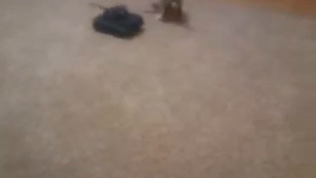 котёнок и танк смотреть онлайн