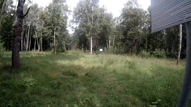 куда сходить бирюлевский дендропарк.интересное место смотреть онлайн
