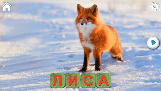 Учись читать,спасай зверей для самых маленьких (серия 2) смотреть онлайн