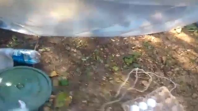 Видеоблог путешественника. Алматы. Плато Ассы. Горы 2017(10) отдых и поход в горы смотреть онлайн