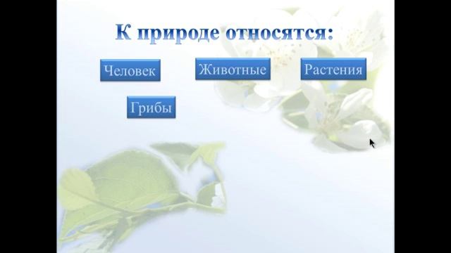 Живая и неживая природа смотреть онлайн