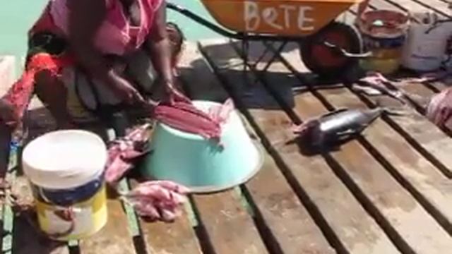 048 острова Кабо Верде 2017 туризм экзотика океан КОРИФЕНА Дорадо island Cabo Verde tourism exotica смотреть онлайн