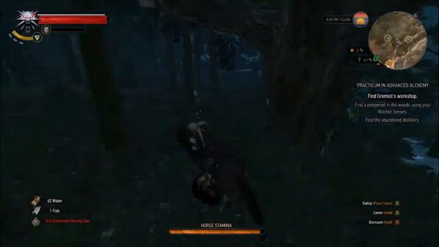 Nishi Fails: The Witcher 3 -Good- Part 236: Succubus смотреть онлайн
