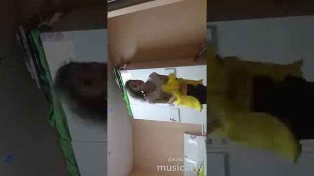 Извините за перевернутый экран. ?? смотреть онлайн